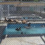 Tour_d_SoCal2_0018 (September 11, 2015)